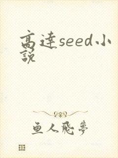 高达seed小说