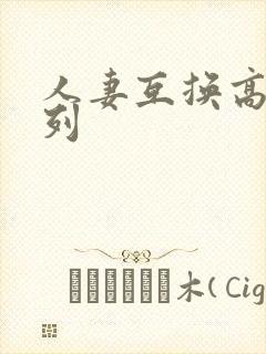 人妻互换高h系列