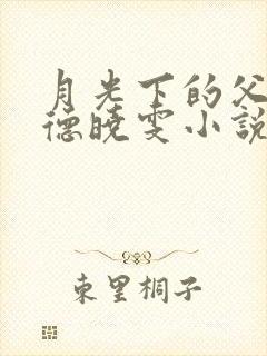 月光下的父女明德晓雯小说免费阅读