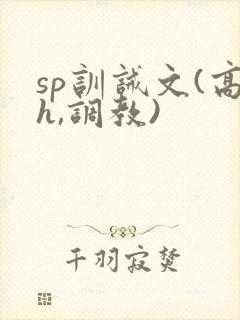 sp训诫文(高h,调教)