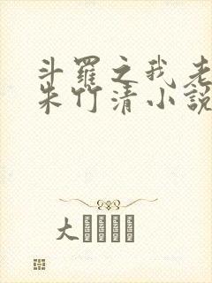 斗罗之我老婆是朱竹清小说
