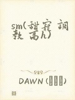 sm(甜宠 调教 高h)