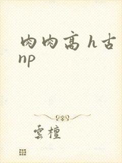 肉肉高 h古言np