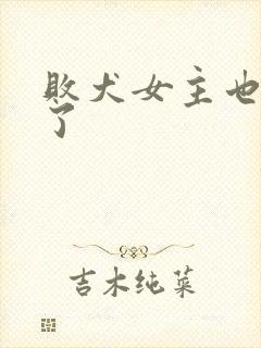 败犬女主也太多了