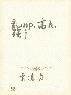 乱np,高h,强j
