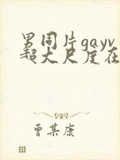 男同片gayv超大尺度在线观看网站