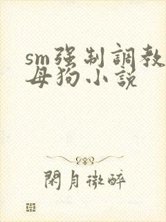 sm强制调教小母狗小说