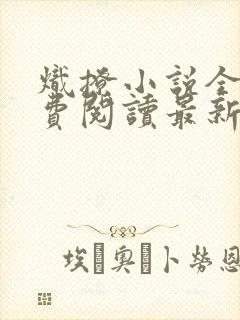 炽撩小说全文免费阅读最新章节