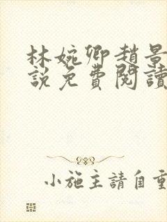 林婉卿赵景玄小说免费阅读最新章节