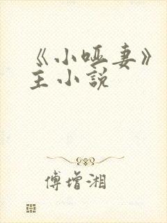 《小哑妻》双女主小说