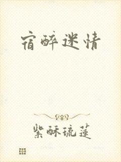 宿醉迷情封面