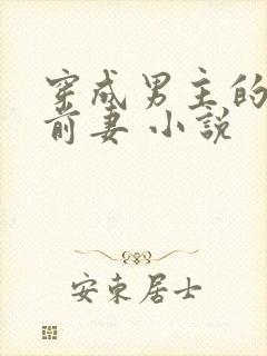 穿成男主的炮灰前妻 小说