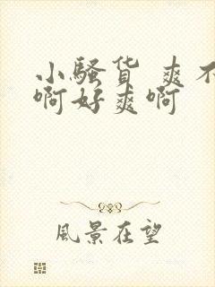 小骚货 爽不爽啊好爽啊