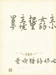 男主把女主拖进梦境里的小说