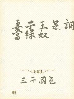 妻子玉足调教我当绿奴封面