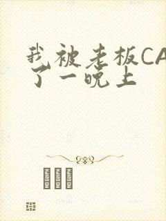 我被老板CAO了一晚上