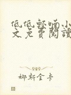 低低轻喃小说全文免费阅读笔趣阁封面