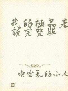 我的极品老婆小说完整版