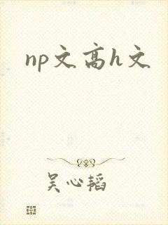 np文高h文