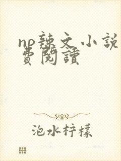 np辣文小说免费阅读