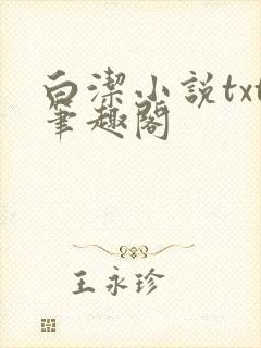 白洁小说txt笔趣阁