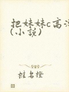 把妹妹c高潮了(小说)封面