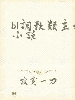 bl调教类主奴小说封面