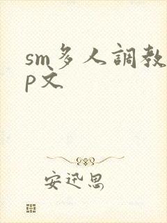 sm多人调教np文