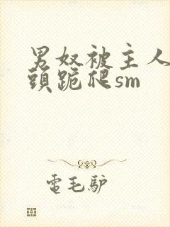 男奴被主人拽奶头跪爬sm