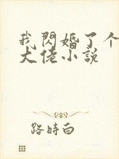 我闪婚了个财阀大佬小说