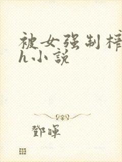 被女强制榨精的h小说