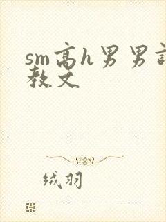 sm高h男男调教文