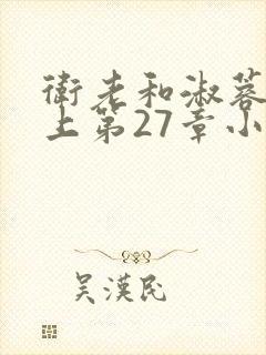 卫老和淑蓉在船上第27章小说封面