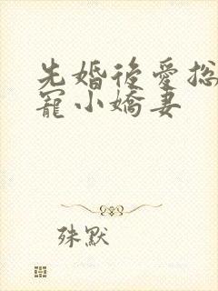 先婚后爱总裁霸宠小娇妻