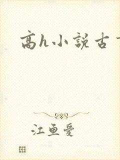 高h小说古言