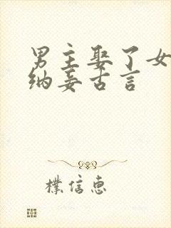 男主娶了女主还纳妾古言