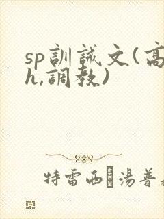 sp训诫文(高h,调教)封面