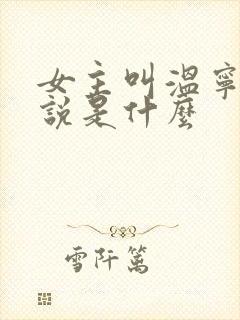 女主叫温宁的小说是什么