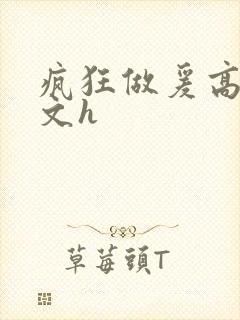 疯狂做爰高辣h文h