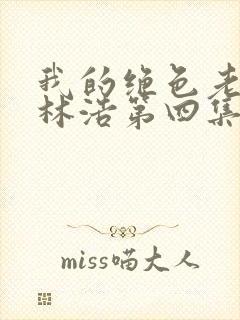 我的绝色老板娘林浩第四集