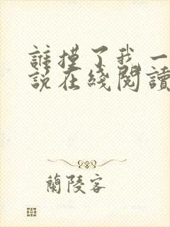 谁摸了我一下小说在线阅读