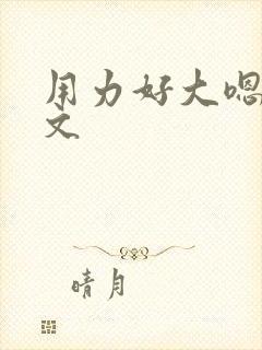 用力好大嗯啊h文