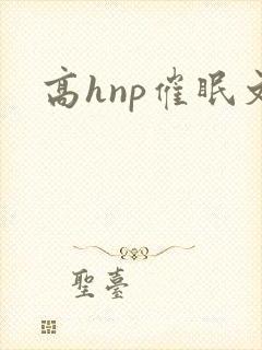 高hnp催眠文