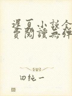 迟夏小说全文免费阅读无弹窗