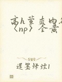 高h荤爽肉欲文〈np〉全黄