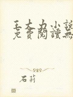 王大力小说小说免费阅读无弹窗