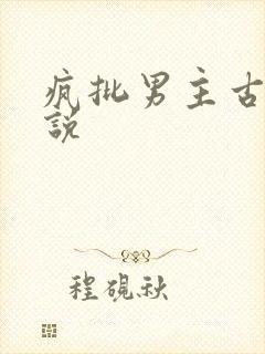 疯批男主古言小说