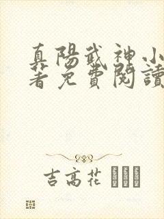 真阳武神小说原著免费阅读