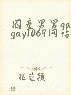 国产男男gaygay1069网站