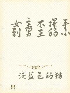 女主不择手段得到男主的小说封面